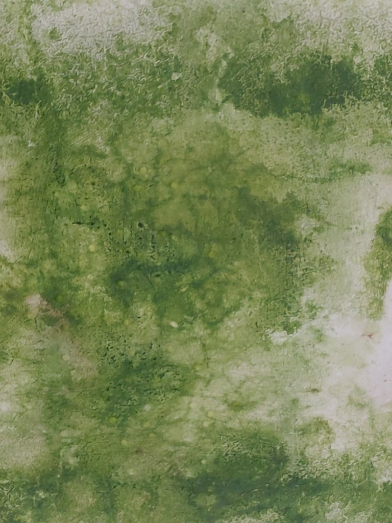 CIMITERO DEGRADATO, GRANDE FUGA PERSISTENTE, SFILATA “INCANTEVOLE”. DUE LAPIDI, UN PARCHEGGIO, UNA MOSTRA, FILIPPO E DONALD.